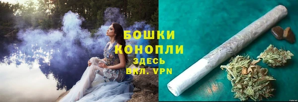 сатива Балабаново