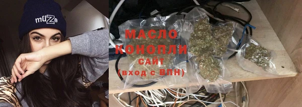 молекула духа Балахна