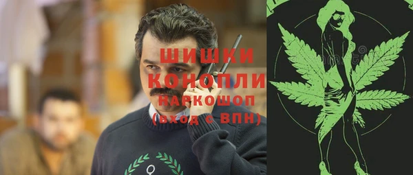 Альфа ПВП Белокуриха