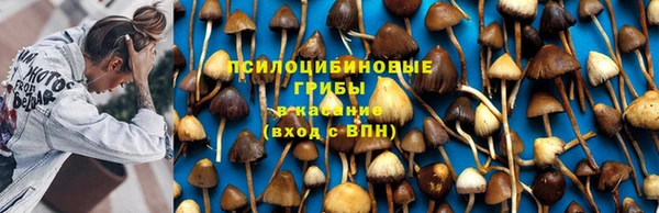 mdpv Баксан