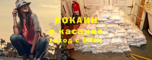 apvp Тайга